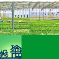 Agriculture